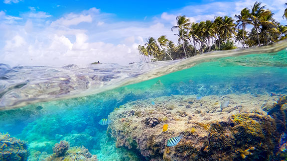 guide-vacances-antilles-preparez-vos-vacances