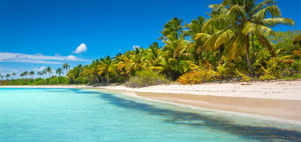 Hôtel Zel Punta Cana, Séjour République Dominicaine, Punta Cana par Ôvoyages Hôtel Zel Punta Cana, Séjour République Dominicaine, Punta Cana par Ôvoyages