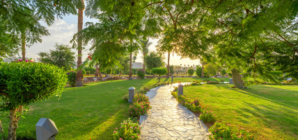 Aurora Oriental Resort 5*, Séjour Egypte, Sharm El Sheikh par Ôvoyages Aurora Oriental Resort 5*, Séjour Egypte, Sharm El Sheikh par Ôvoyages