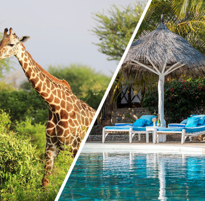 Hôtel Exploreans Malaika Villas & Beach Club 3* by Ôvoyages + Safari 2 Nuits dans le Parc National de Tsavo Est, Séjour Kenya par Ôvoyages Hôtel Exploreans Malaika Villas & Beach Club 3* by Ôvoyages + Safari 2 Nuits dans le Parc National de Tsavo Est, Séjour Kenya par Ôvoyages