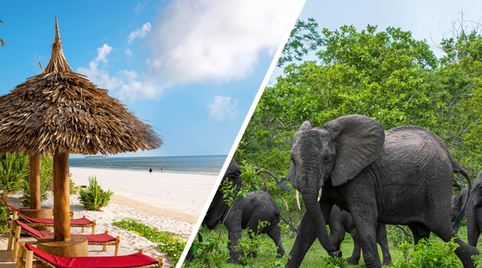 Combiné AHG Sun Bay Mlilile Beach Hotel 4* + Safari 2 nuits dans la réserve de Selous en avion, Séjour Tanzanie, Zanzibar par Ôvoyages Combiné AHG Sun Bay Mlilile Beach Hotel 4* + Safari 2 nuits dans la réserve de Selous en avion, Séjour Tanzanie, Zanzibar par Ôvoyages