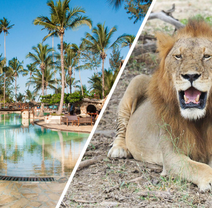 Combiné Jaz Amaluna 4* Adult Only +16 & Safari 2 nuits dans la réserve de Selous en avion, Séjour Tanzanie, Zanzibar par Ôvoyages Combiné Jaz Amaluna 4* Adult Only +16 & Safari 2 nuits dans la réserve de Selous en avion, Séjour Tanzanie, Zanzibar par Ôvoyages