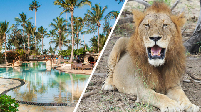 Combiné Jaz Amaluna 4* Adult Only +16 & Safari 2 nuits dans la réserve de Selous en avion, Séjour Tanzanie, Zanzibar par Ôvoyages Combiné Jaz Amaluna 4* Adult Only +16 & Safari 2 nuits dans la réserve de Selous en avion, Séjour Tanzanie, Zanzibar par Ôvoyages