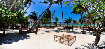 Combiné Jaz Amaluna 4* Adult Only +16 & Safari 2 nuits dans la réserve de Selous en avion, Séjour Tanzanie, Zanzibar par Ôvoyages Combiné Jaz Amaluna 4* Adult Only +16 & Safari 2 nuits dans la réserve de Selous en avion, Séjour Tanzanie, Zanzibar par Ôvoyages