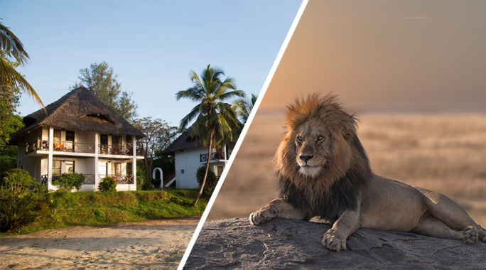 Hôtel Antonio Beach Tree House & Spa 4* + Safari 2 nuits dans la réserve de Selous en avion, Séjour Tanzanie, Zanzibar par Ôvoyages Hôtel Antonio Beach Tree House & Spa 4* + Safari 2 nuits dans la réserve de Selous en avion, Séjour Tanzanie, Zanzibar par Ôvoyages