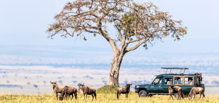 Circuit Les Trésors du Kenya, Circuit Kenya par Ôvoyages Circuit Les Trésors du Kenya, Circuit Kenya par Ôvoyages