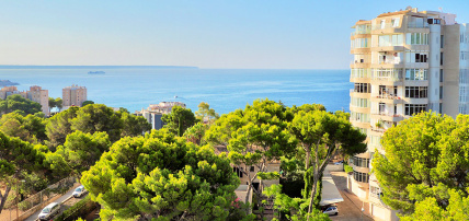 Hôtel BQ Belvedere 4* by Ôvoyages, Séjour Espagne & ses îles, Baléares, Majorque par Ôvoyages Hôtel BQ Belvedere 4* by Ôvoyages, Séjour Espagne & ses îles, Baléares, Majorque par Ôvoyages