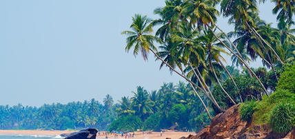 Combiné Balade Sri Lankaise en privatif 4* & Hôtel Sentido Heritance Negombo 5* by Ôvoyages, Circuit Sri Lanka par Ôvoyages Combiné Balade Sri Lankaise en privatif 4* & Hôtel Sentido Heritance Negombo 5* by Ôvoyages, Circuit Sri Lanka par Ôvoyages