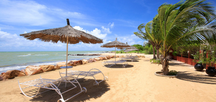 Combiné Circuit Découverte de la Mangrove 3* & Ôclub Experience African Village Bougainvillées 3*, Circuit Sénégal par Ôvoyages Combiné Circuit Découverte de la Mangrove 3* & Ôclub Experience African Village Bougainvillées 3*, Circuit Sénégal par Ôvoyages