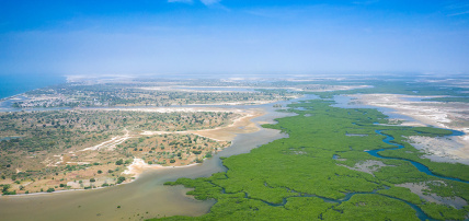 Circuit Découverte de la Mangrove 3*, Circuit Sénégal par Ôvoyages Circuit Découverte de la Mangrove 3*, Circuit Sénégal par Ôvoyages