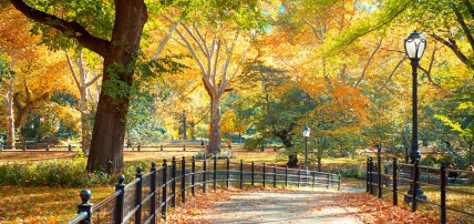 Hôtel Fairfield Inn & Suites by Marriott New York Manhattan / Central Park 3*, Séjour Etats-Unis, New York par Ôvoyages Hôtel Fairfield Inn & Suites by Marriott New York Manhattan / Central Park 3*, Séjour Etats-Unis, New York par Ôvoyages