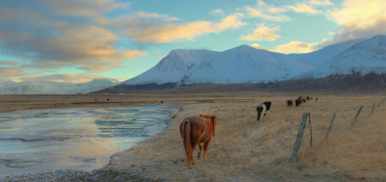 Circuit Estival Aventures en Terres Islandaises 3*, Circuit Islande par Ôvoyages Circuit Estival Aventures en Terres Islandaises 3*, Circuit Islande par Ôvoyages